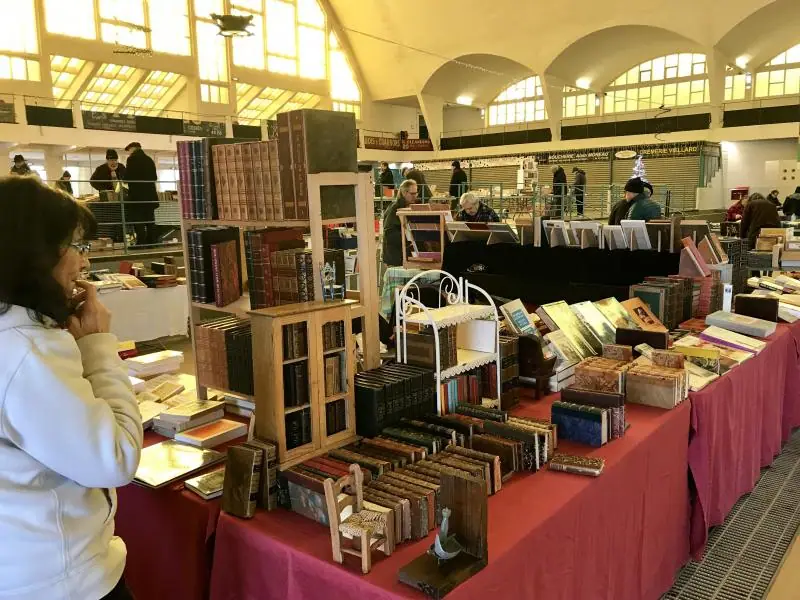 Marché aux Livres à Reims (51)