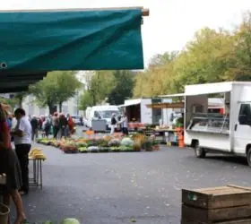 Marché Champ Benoist à Sézanne (51)