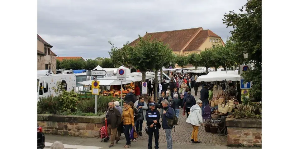 Marché du Centre à Obernai (67)