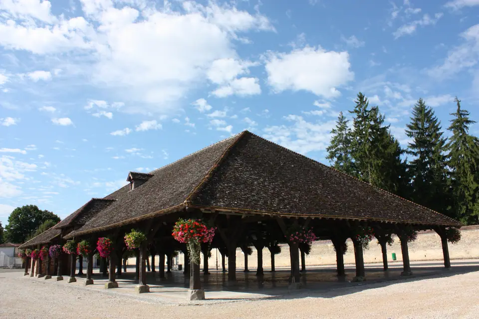 Marché du Centre à Brienne-le-Château (10)