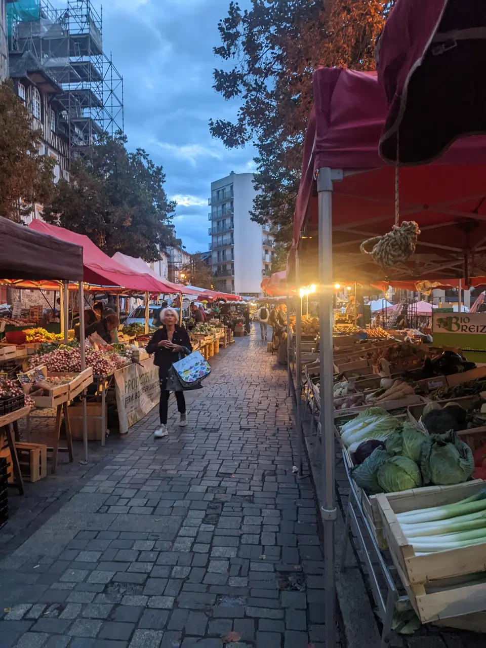 Marché des Lices à Rennes (35)