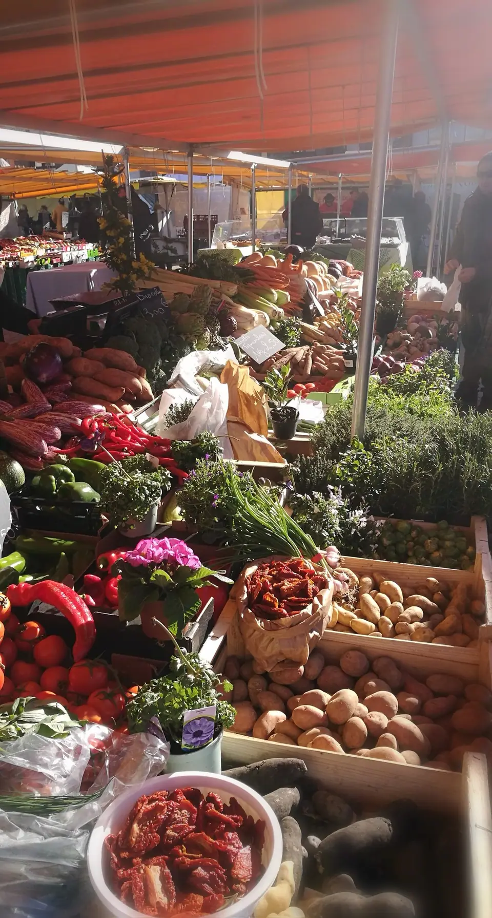 Marché Couvert à La Couarde-sur-Mer (17)