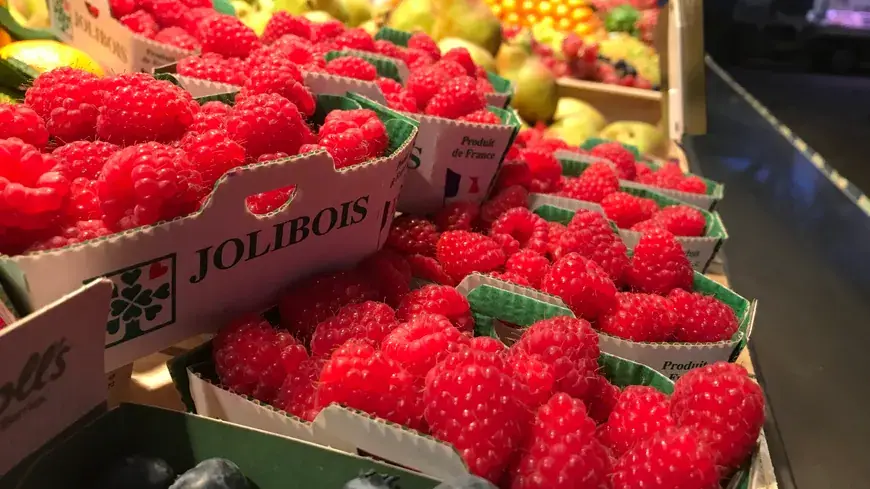 Marché Gaviniès à Bordeaux (33)