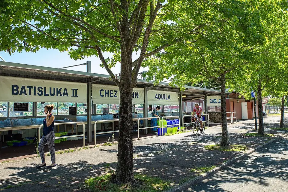 Marché aux Poissons à Bayonne (64)