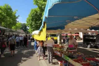 Marché du Centre à Saint-Germain-du-Plain (71)