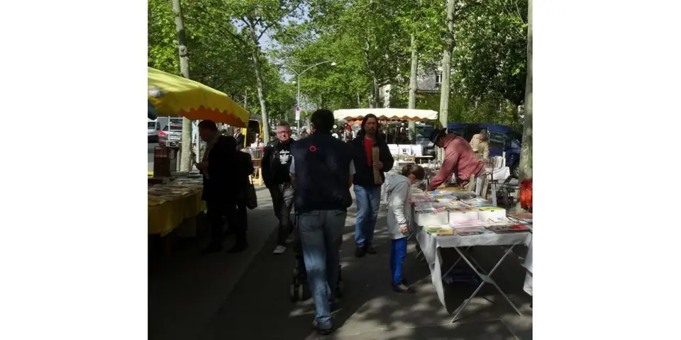 Marché aux livres anciens à Lyon 4e