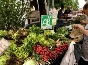 Marché biologique Croix Rousse à Lyon 4e