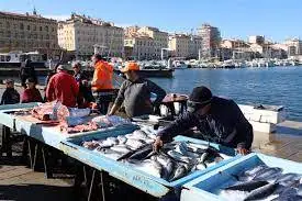 Marché aux Poissons à Marseille 2e