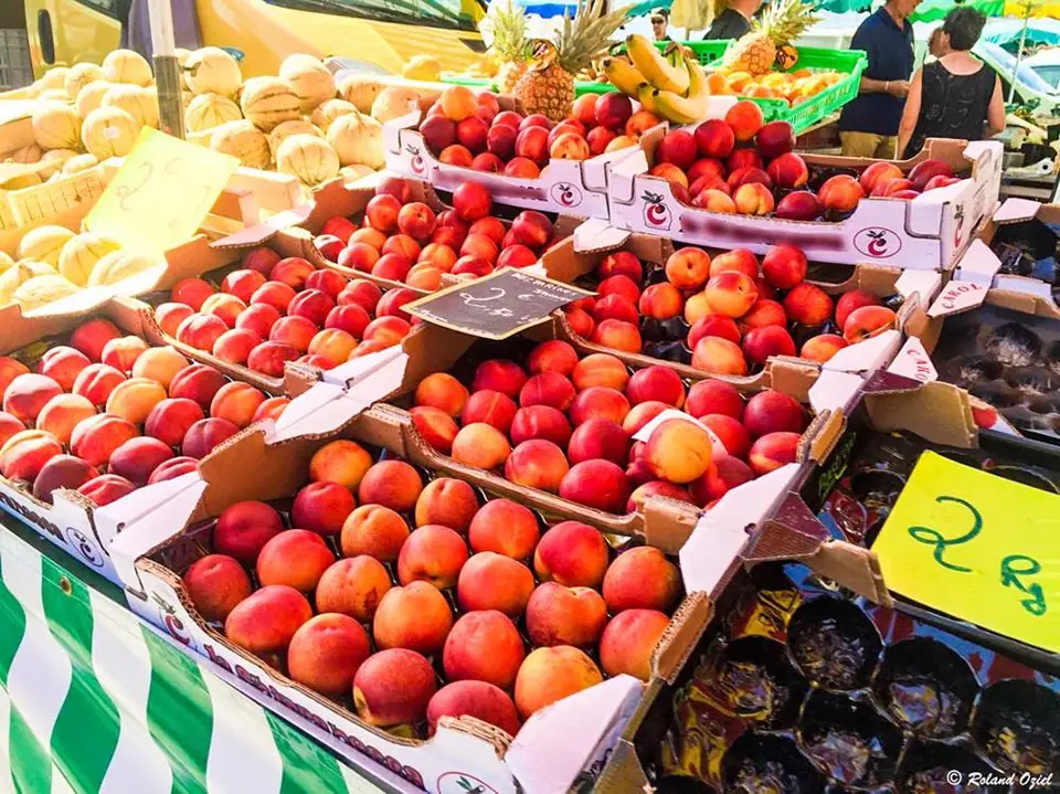 Marché des Producteurs à Saint-Martin-de-Crau (13)