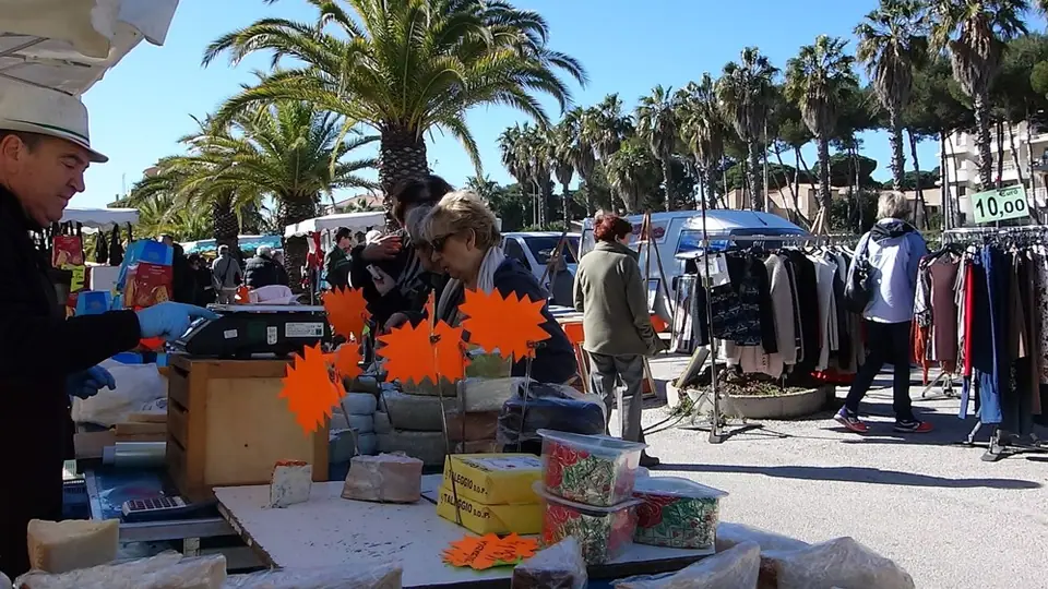 Marché du Port à Hyères (83)