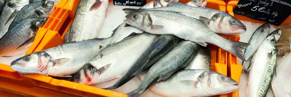 Marchés du vendredi à Hyères