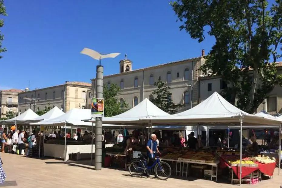 Marché Plan Cabanes à Montpellier (34)