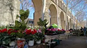 Marché aux fleurs des Arceaux à Montpellier (34)