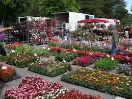 Marché aux plants à Montpellier (34)
