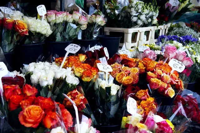Marché aux Fleurs à Versailles (78)