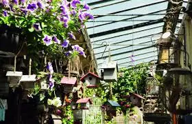 Marché aux fleurs et aux oiseaux à Paris 4e