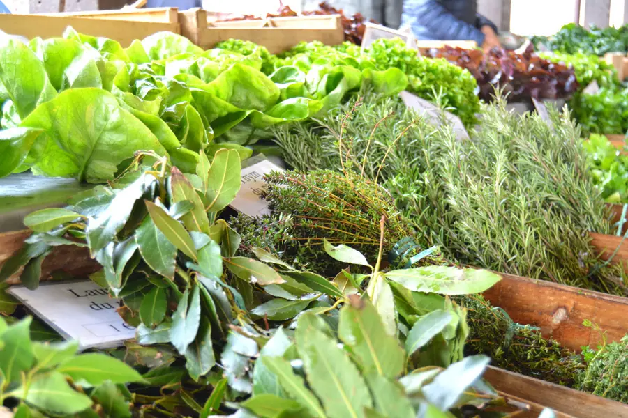 Marché des Producteurs à Maxéville (54)