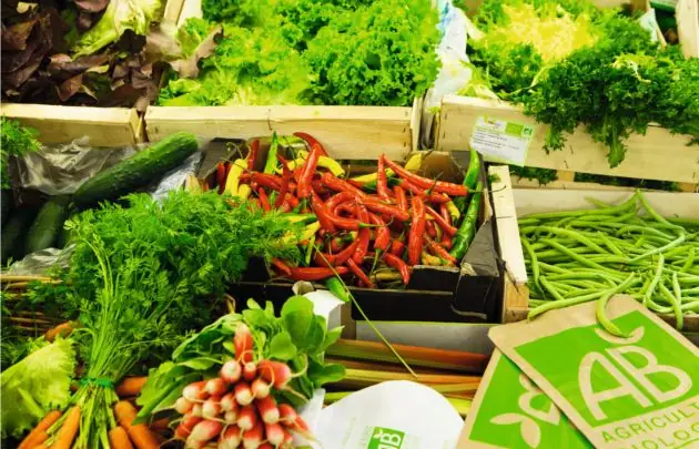 Marché Bio à Sautron (44)