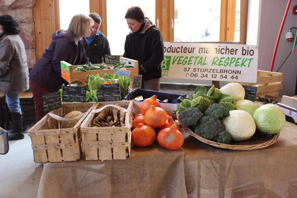 Marché du Centre à Steinseltz (67)