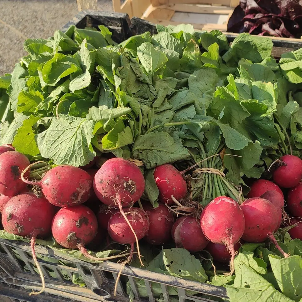 Marché des Producteurs à Septeuil (78)