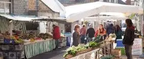 Marché du Centre à Maen Roch (35)