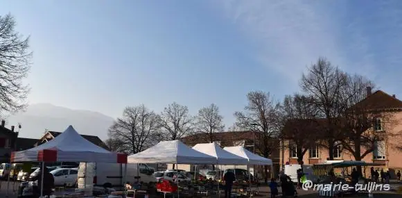 Marché de Fures à Tullins (38)