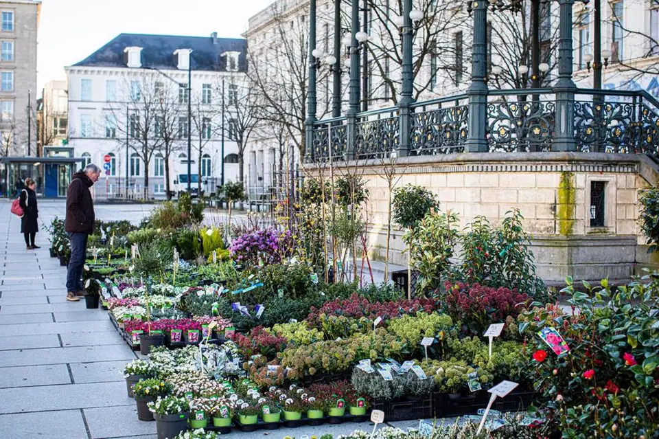 Marché aux Fleurs à Gand (Belgique)