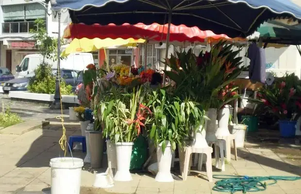 Marché aux fleurs à Pointe-à-Pitre (971)