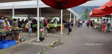 Marché forain à Plaine des Palmistes (974)