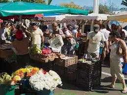 Marché des camélias à Saint-Denis (974)