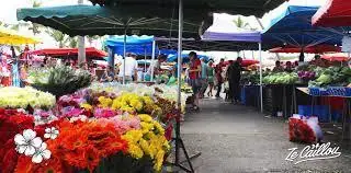 Marché de la source à Saint-Denis (974)