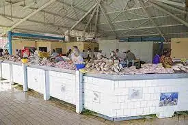 Marché aux poissons à Kourou (973)