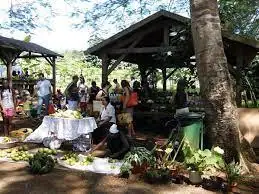Marché paysan à Coconi (976)
