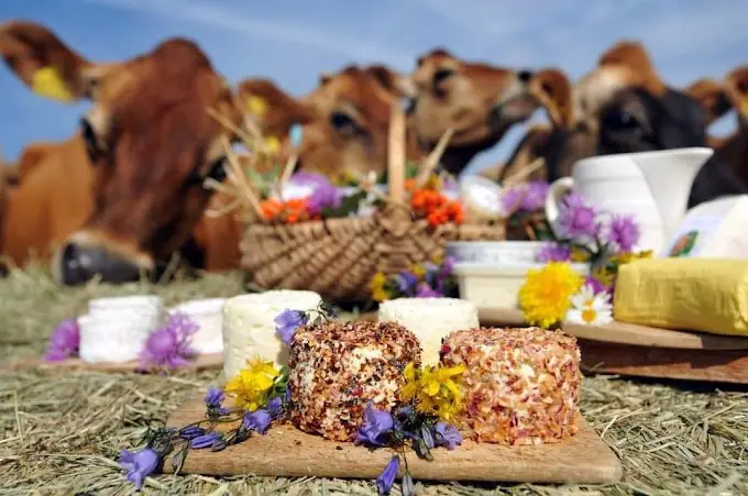 Marché des Producteurs à Mormont (Belgique)