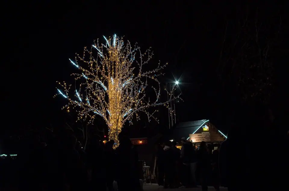 Marché de Noël d'Albi (81)
