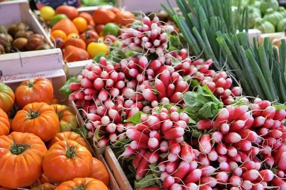 Marché du Centre à Annot (04)