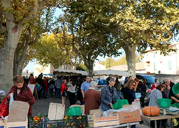 Marché du centre à Gignac-la-Nerthe (13)
