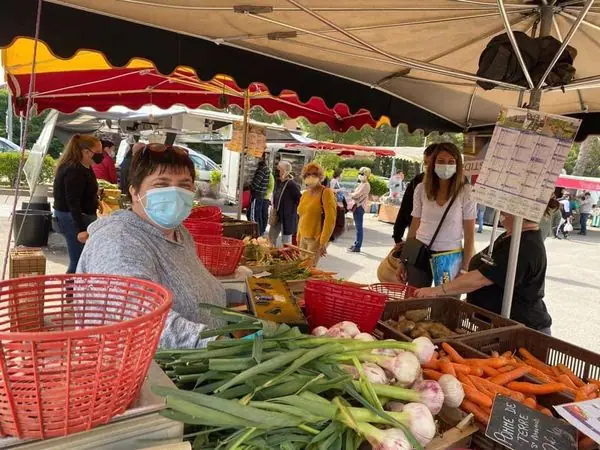 Marché Provençal à Plan-de-Cuques (13)