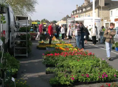 Marché du Centre à Tilly-sur-Seulles (14)