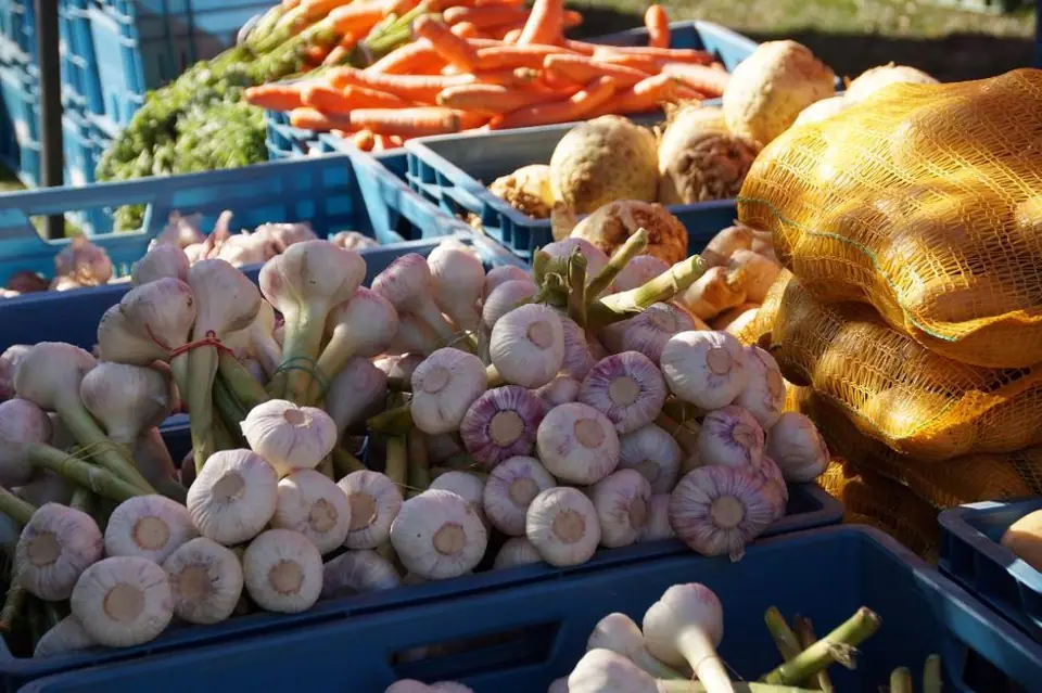 Marché du Centre à Montferrand-le-Château (25)