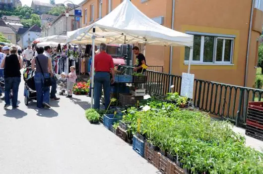 Marché du Centre à Rougemont (25)