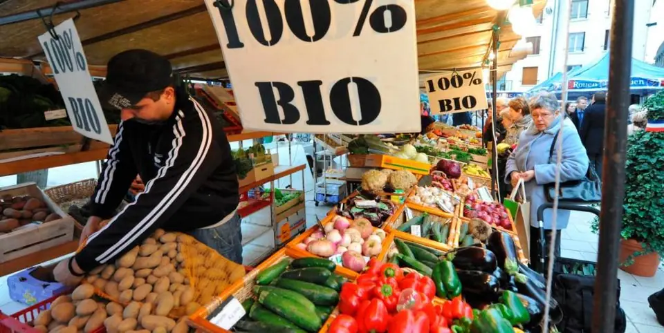 Marché du Centre au Vaudreuil (27)