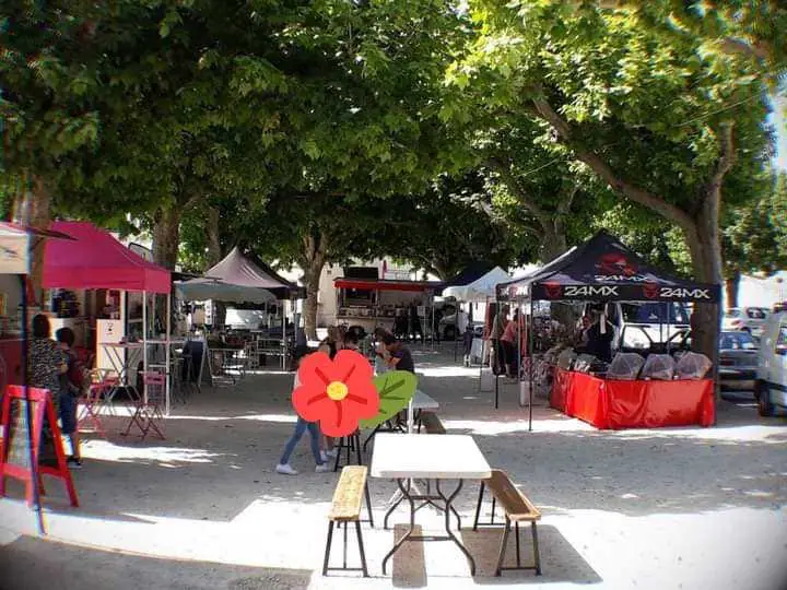 Petit Marché de Moulon (33)