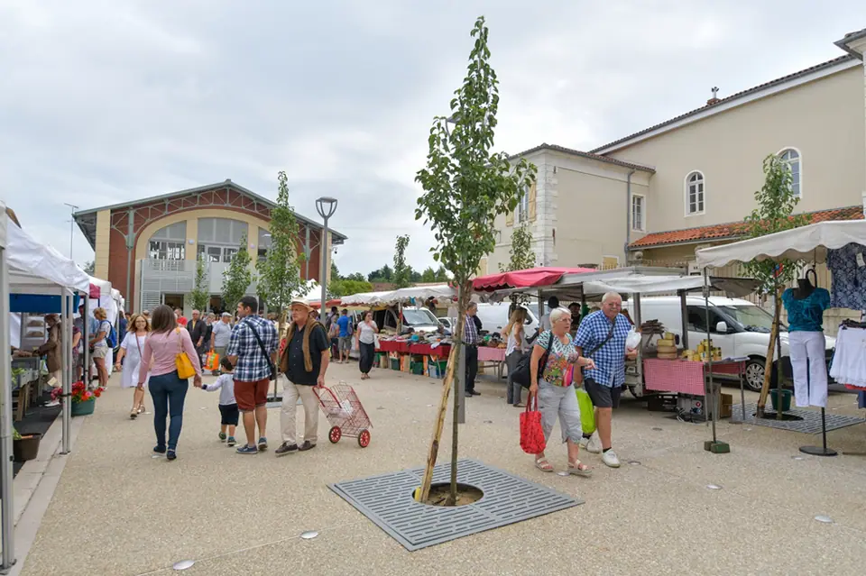 Marché du centre à Saint-Sever (40)