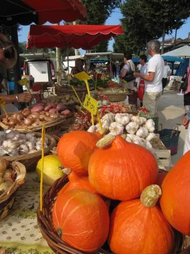 Marché du Centre à Tartas (40)