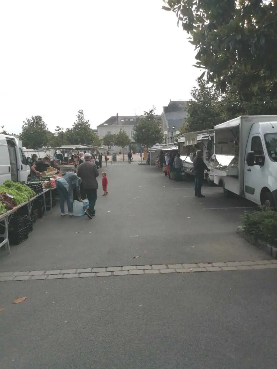 Marché des Ponts de Cé aux Ponts-de-Cé (49)