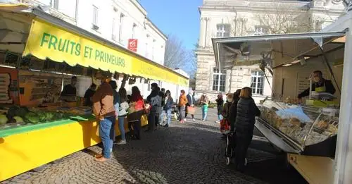 Marché du Centre à Longué-Jumelles (49)