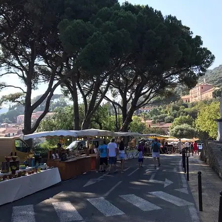 Marché du Centre à Bormes-les-Mimosas (83)