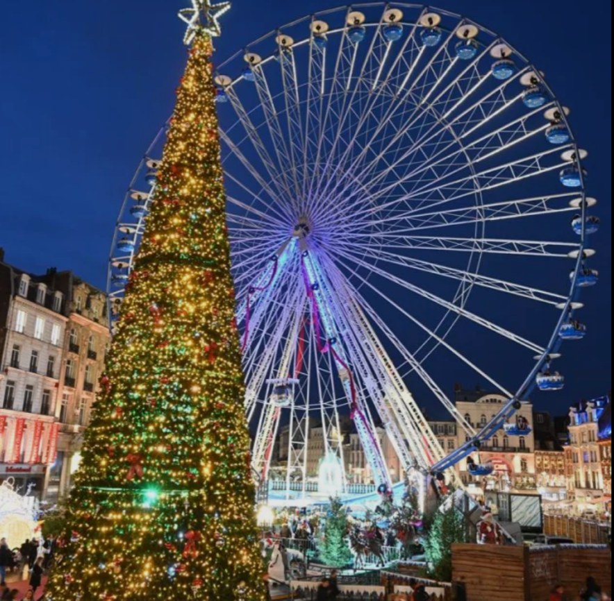 La Grande Roue et le grand sapin illuminés sur la Grand-Place de Lille, de nuit
