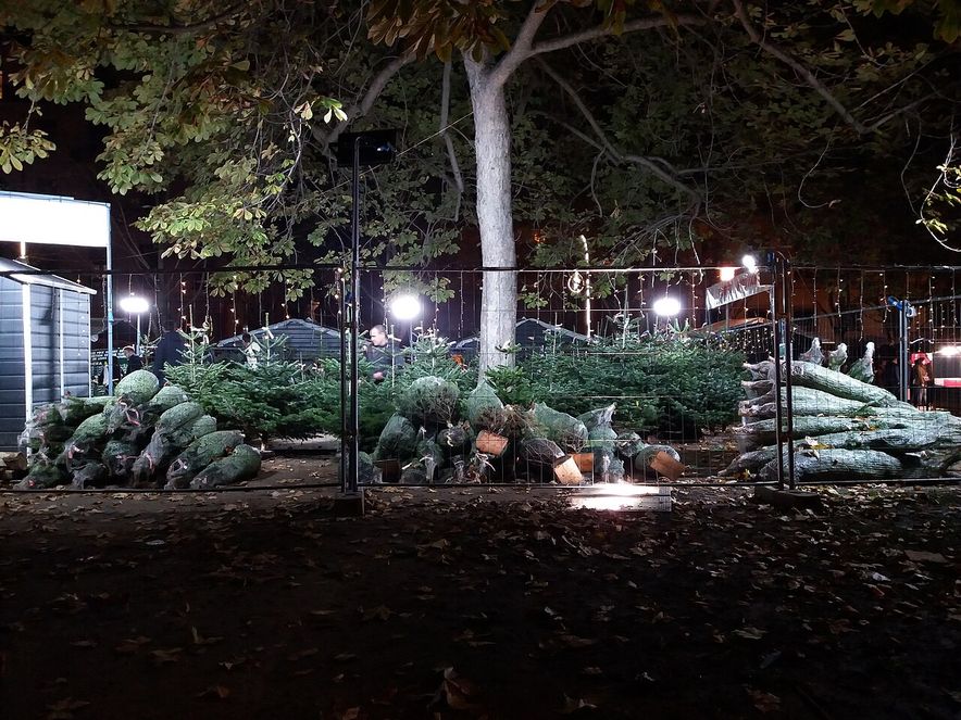 Le marché de Noël de la place Carnot à Lyon (2019)